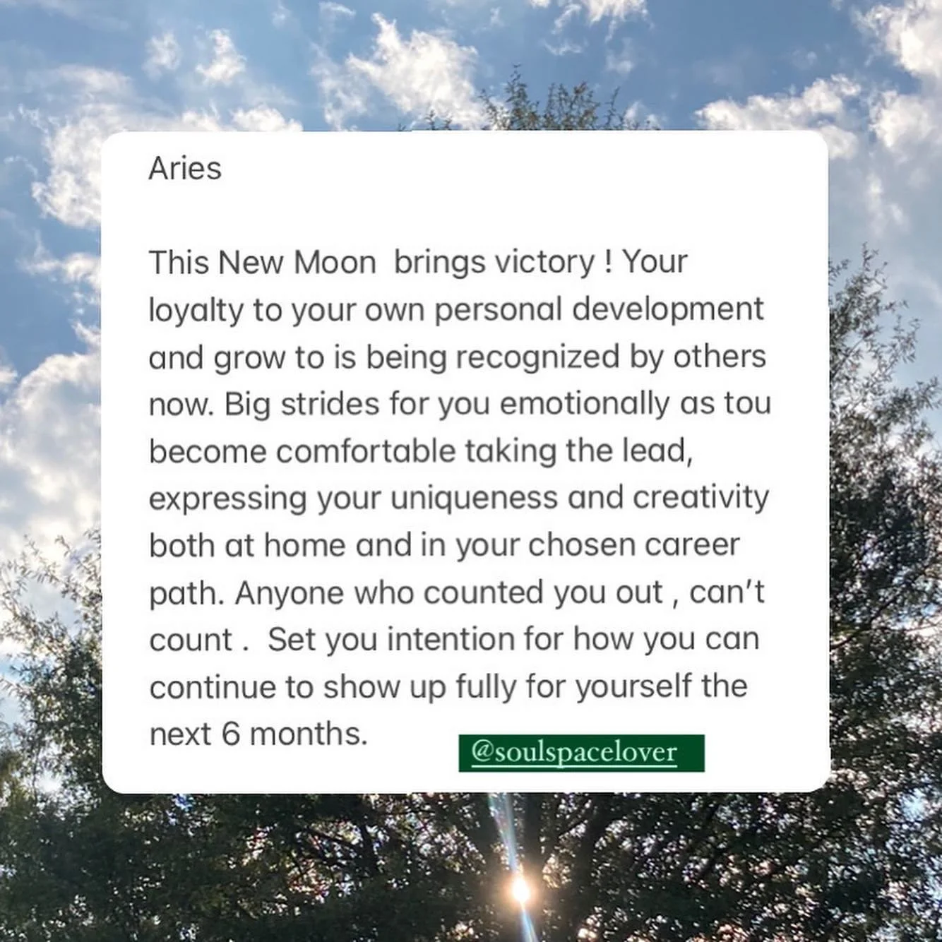 New Moon in Virgo Reflections for all the signs 🌑♍️🪞✨

#newmoon #newmoonreading #part1 #virgo #virgoseason #virgomoon #tarot #energyhealing #energyreading #oracle #onyxandsage #healingarts #soulspacereikischool #atlantawellness #atlantareiki  #reik