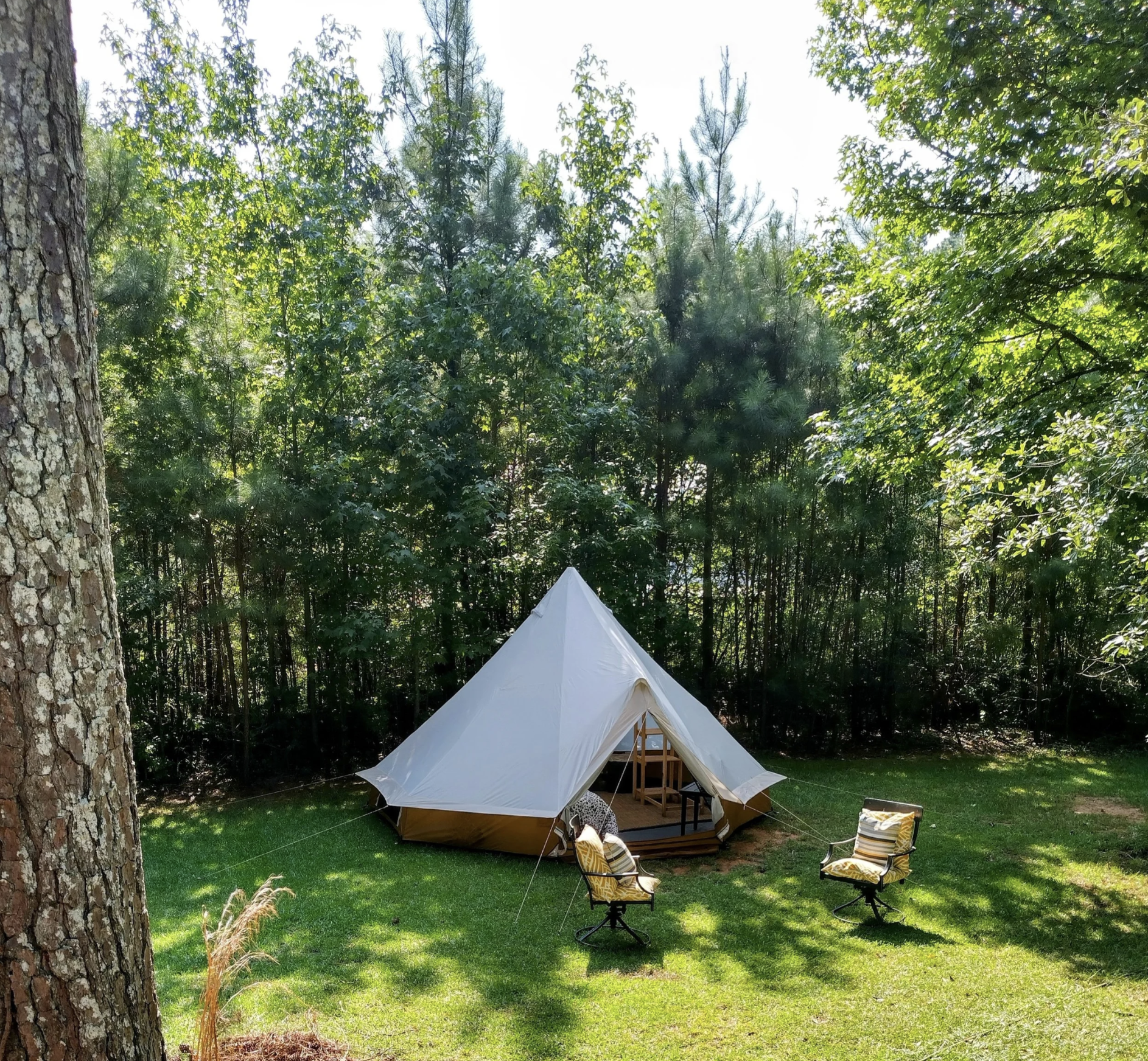 Yurt Glamping Experience