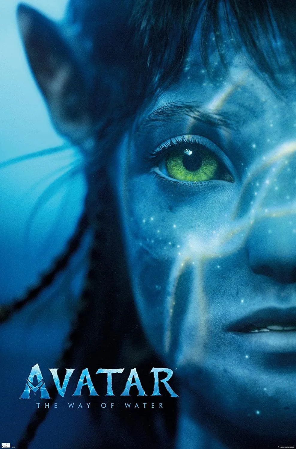 Avatar The Way of Water.jpeg