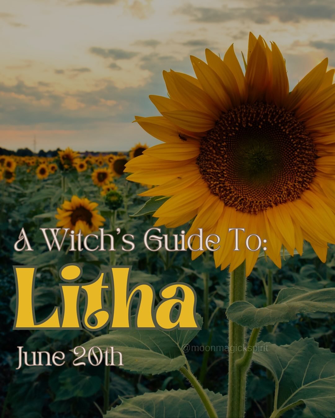 The Summer Solstice is Near! 🌻

June 20th is Litha, marking the longest day of the year and the time to honor the Sun at its peak power. This pagan holiday is bursting with life, creativity, joy and abundance AND it&rsquo;s the perfect time to recon