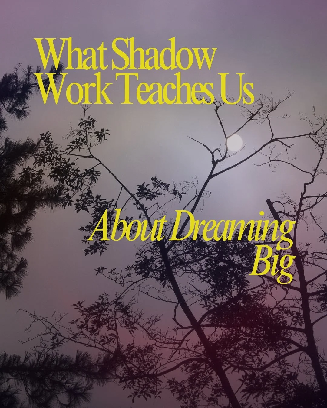 Dreaming big without doing the deep work is like planting seeds in barren soil. You may see growth, but it&rsquo;s fragile.

Shadow teaches us where we&rsquo;re stuck, what we resist, and what parts of ourselves we shut away. When we bring light into