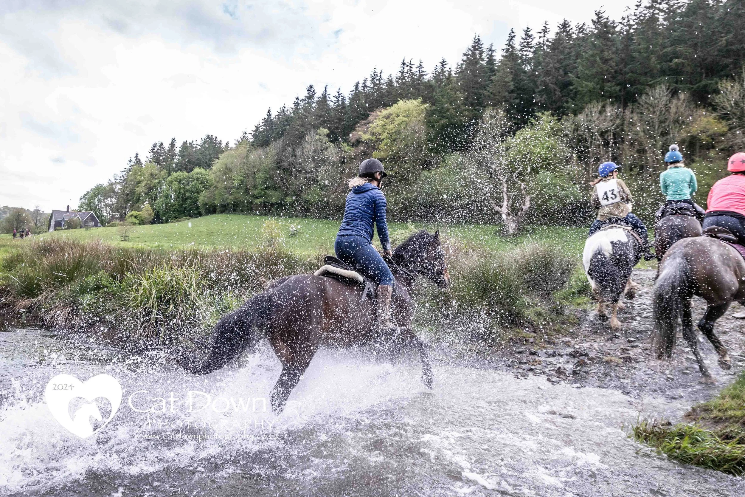 Group of people riding horses through a shallow water stream in a rural outdoor setting with green fields and trees.