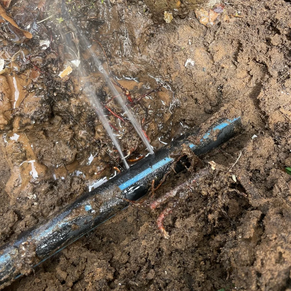 Underground Leak Detection — Guaranteed Plumbing