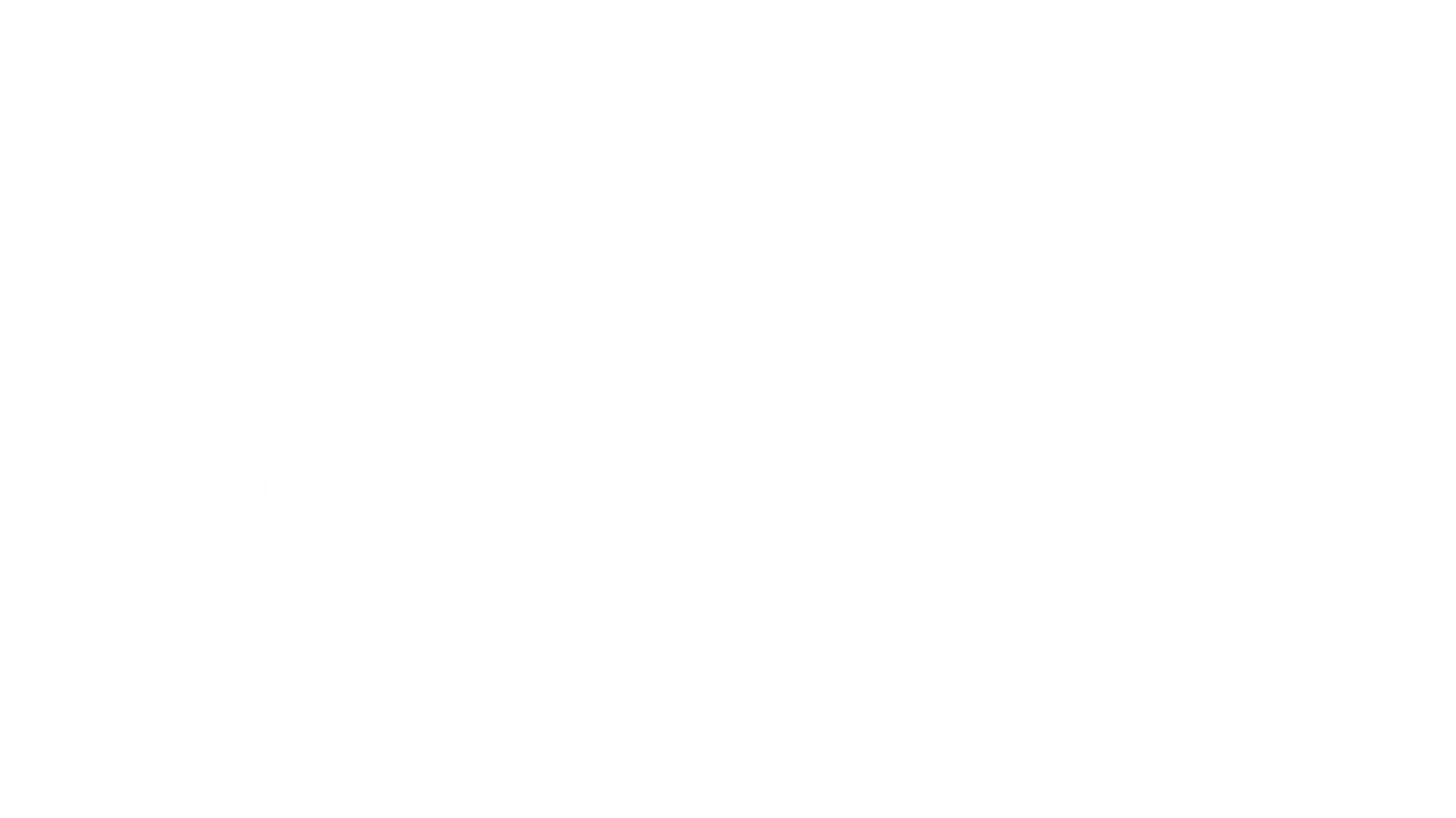 Boulder Forest Therapy