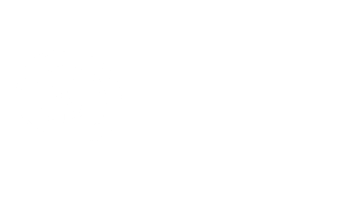 Boulder Forest Therapy