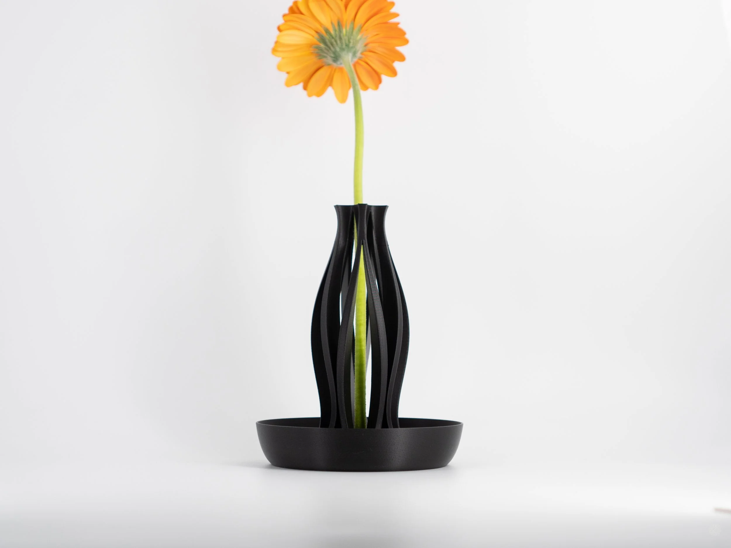 Modern Vase "Emberflare" | Propagation Vase | Open Water Design