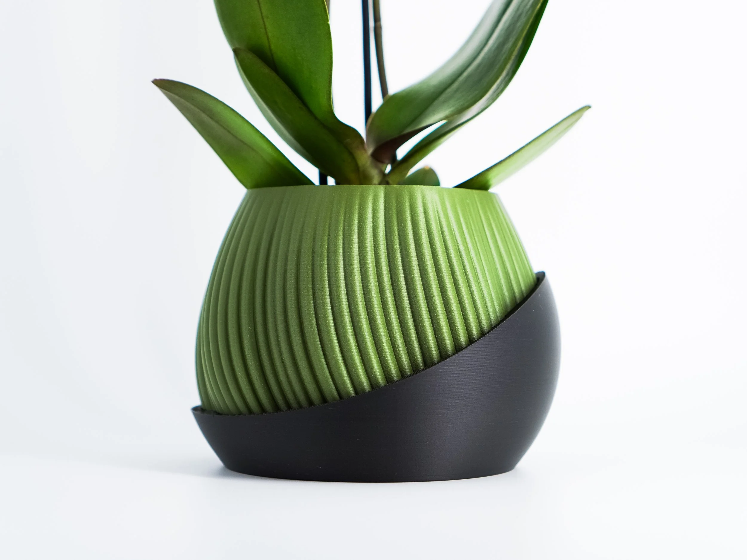 Plant Pot "Bloomcrest" | Fused Drainage Pot + Drain Tray