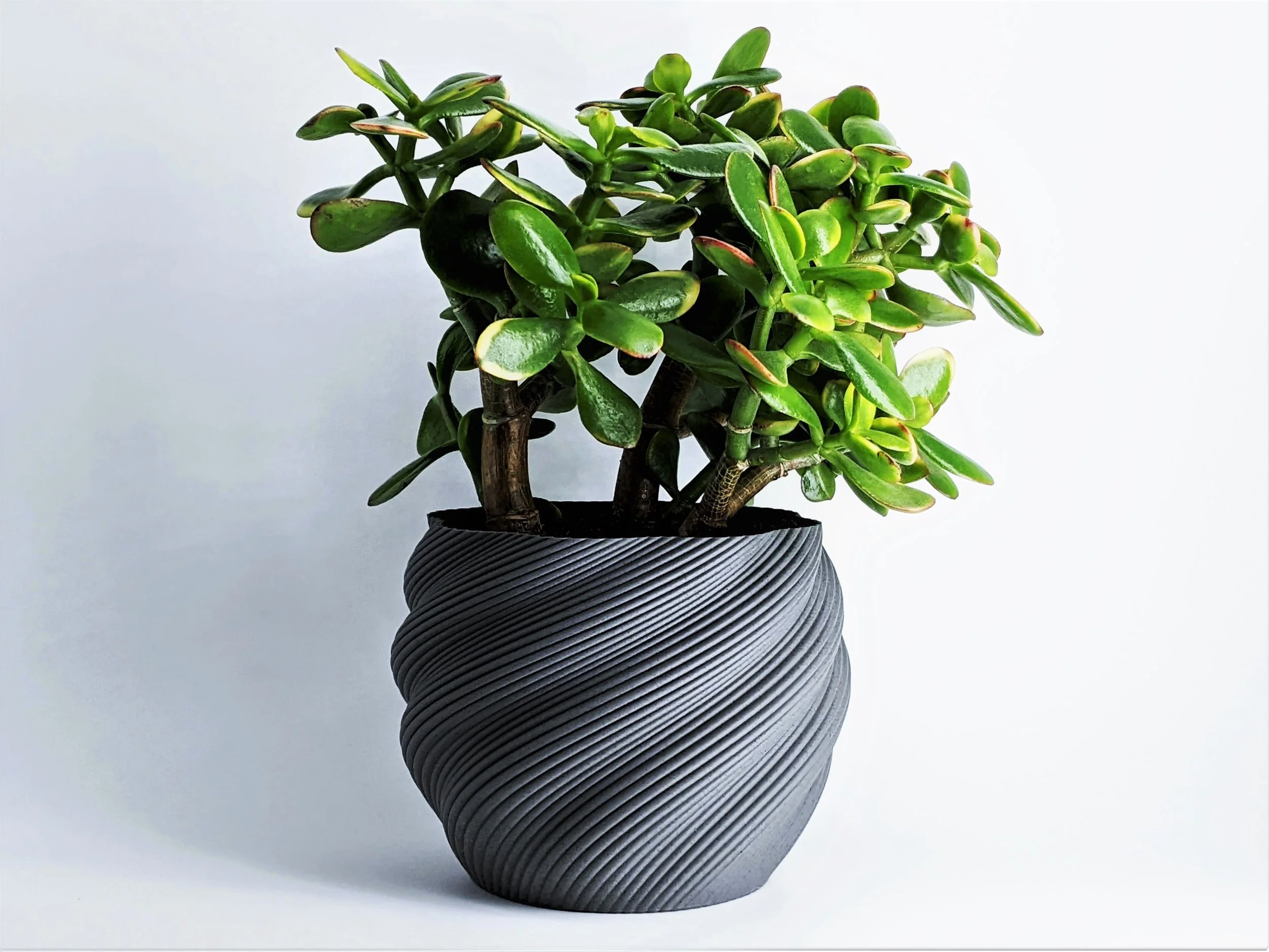 Modern Planter "Diluvian" for succulent planters to big pots