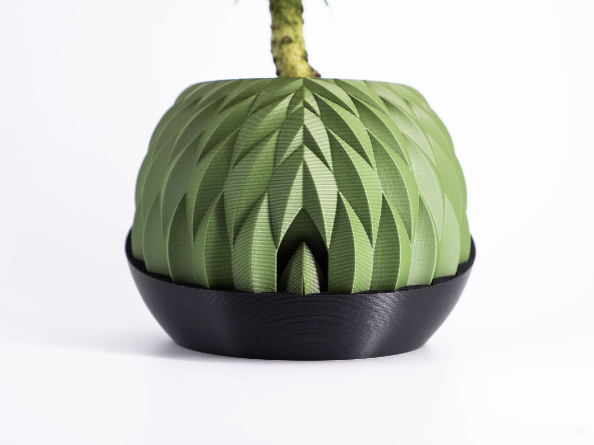 Shape Shifting Plant Pot "Wingcrest" | Self-Watering + Water Level Indicator