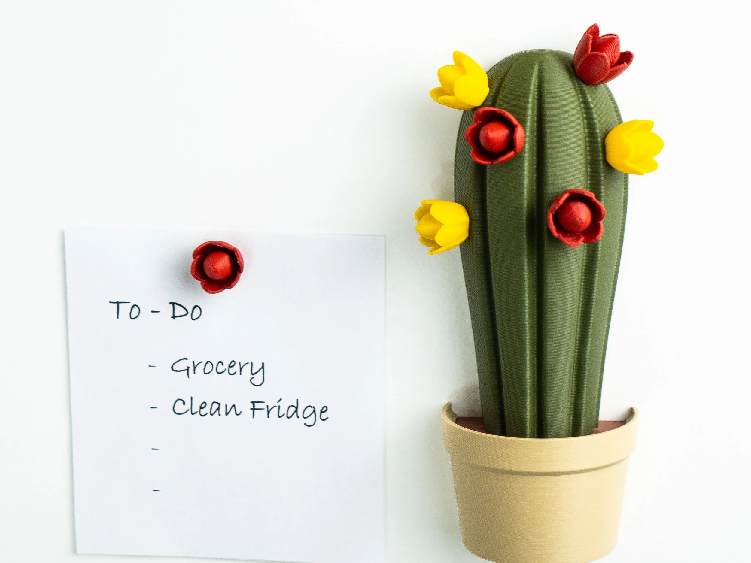 Fridge Magnet – SnapCacti - Featuring Detachable Magnet Blooms – Fun, Decorative, and Functional!