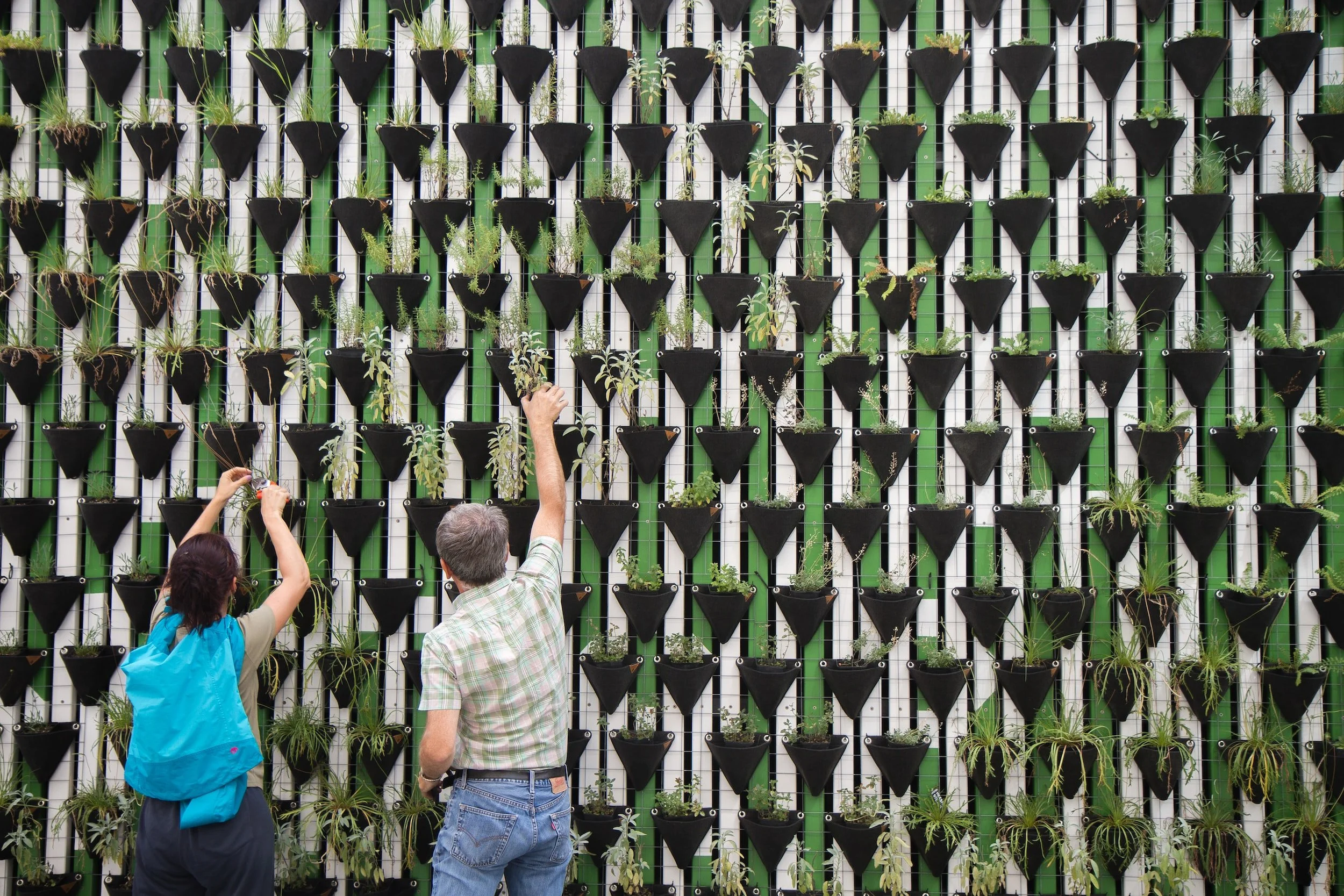 The Power of Community Building in Real Estate Development