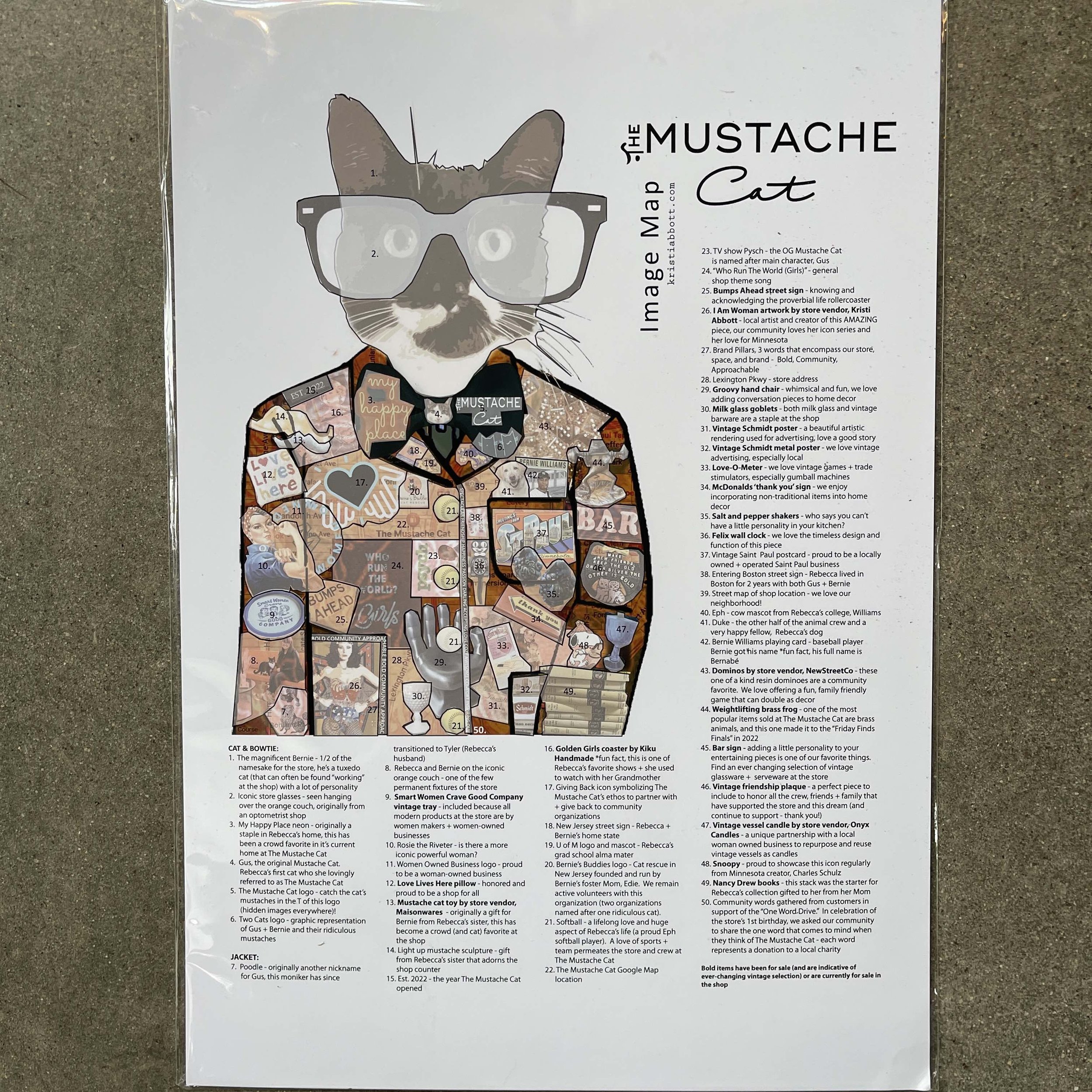 Kristi-abbott-mustache-cat-image-map.jpg