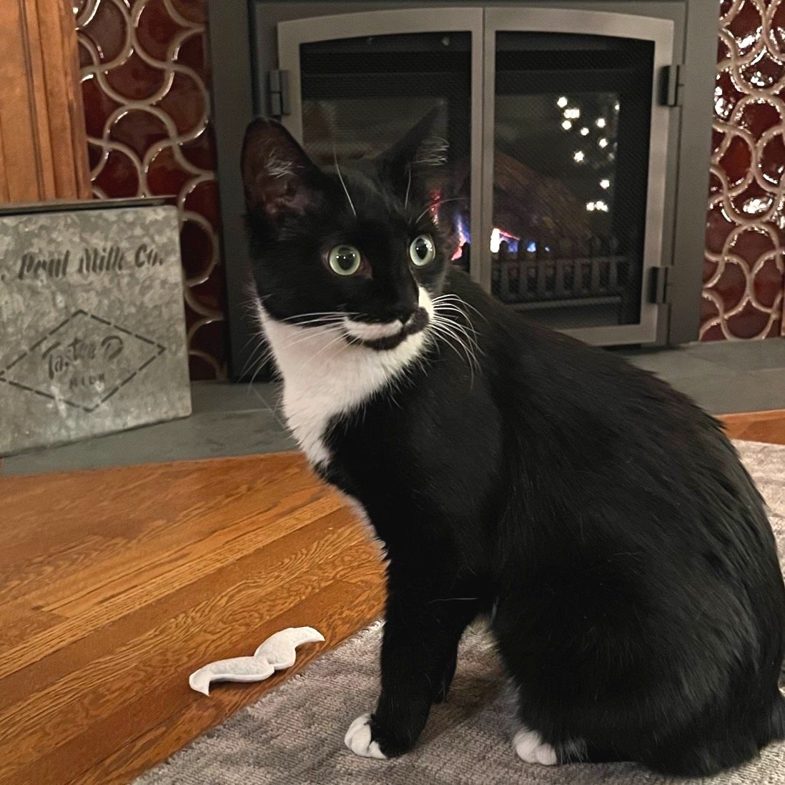 shop-cat-mustache-catnip-toy.jpg