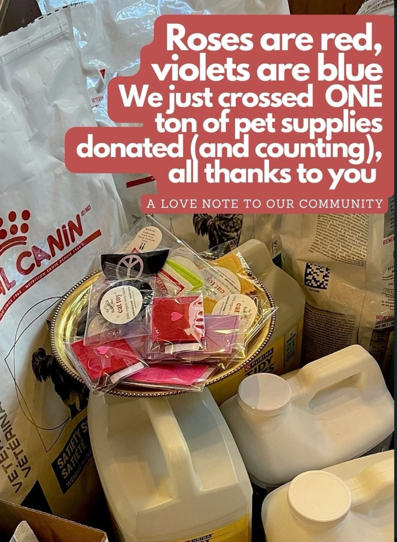 Pet Food Donation Drive