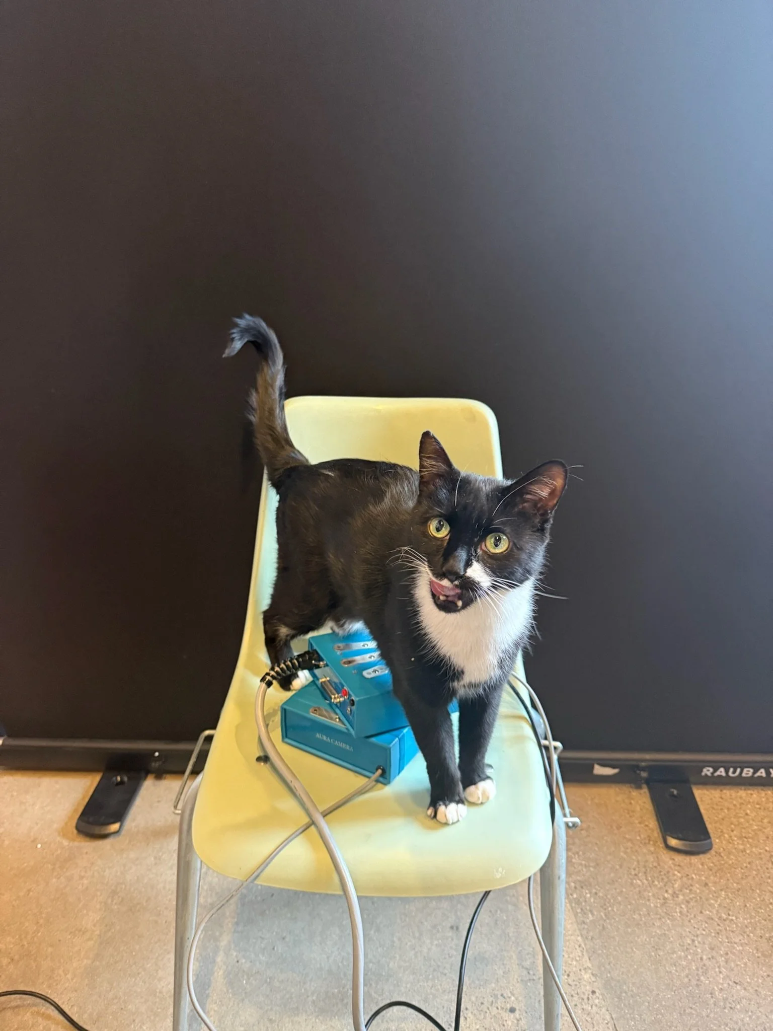 Vivid Violet Aura Pop-Up