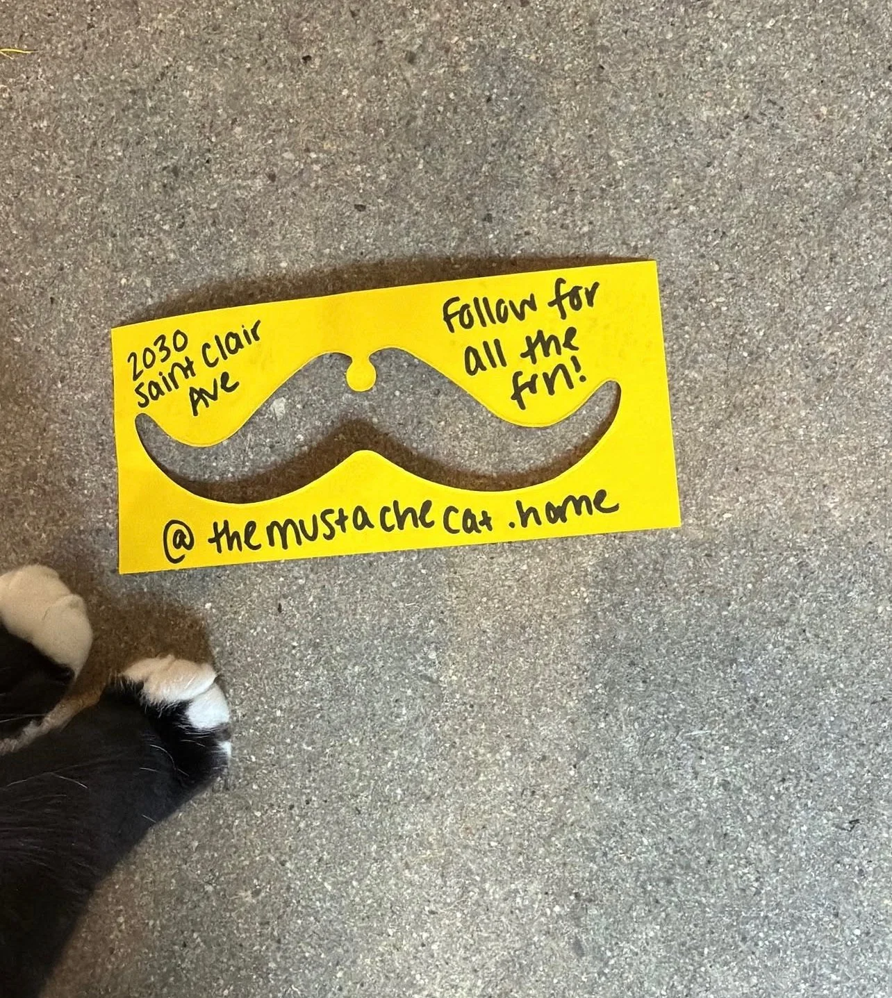 F5ACEA81-BBDE-454C-AC4A-0970E880929E.jpeg