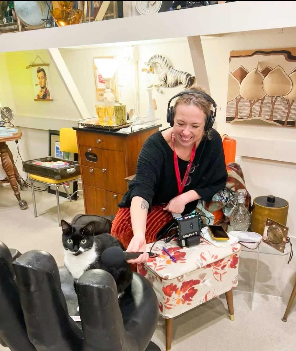 Cat getting recorded for the radio