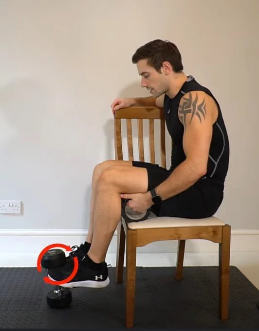 1B: Leg Extension