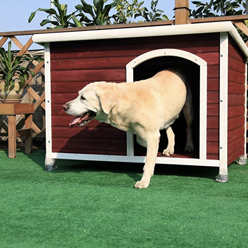 How to Insulate a Dog House — Vegan Design