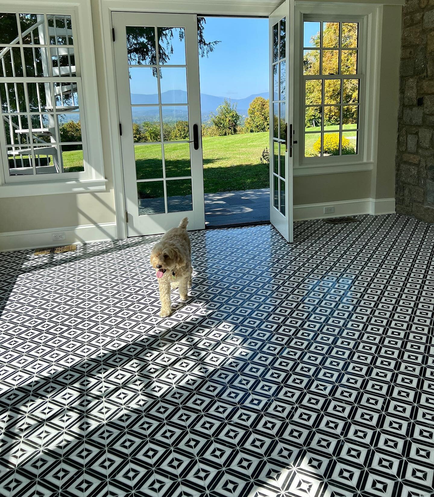 #mondaymarble #blackandwhitefloor #diamondpatterns #petsofinstagram #frenchdoors #catskillmountains #fallweather #autumm #biophilicdesign #marblefloors #hudsonvalleyny #upstatenewyork #countryhouse #luxurycountryliving #modernfarmhousestyle #mondayin