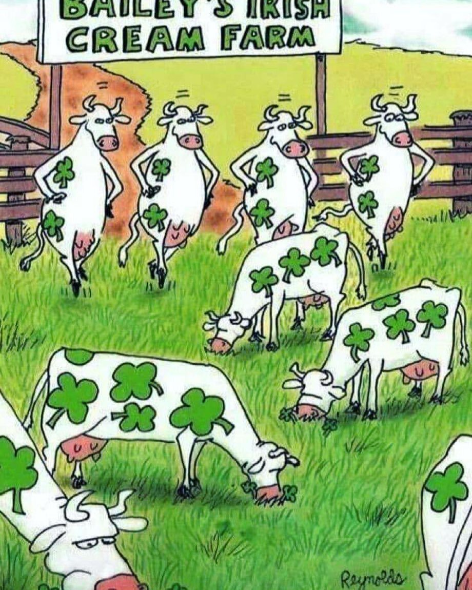 Happy St Patrick&rsquo;s Day. 

There&rsquo;s a little bit of Paddy in every Mooos ! 

☘️😃❤️

#mooos #mooosca #mousse @bcm_mooos