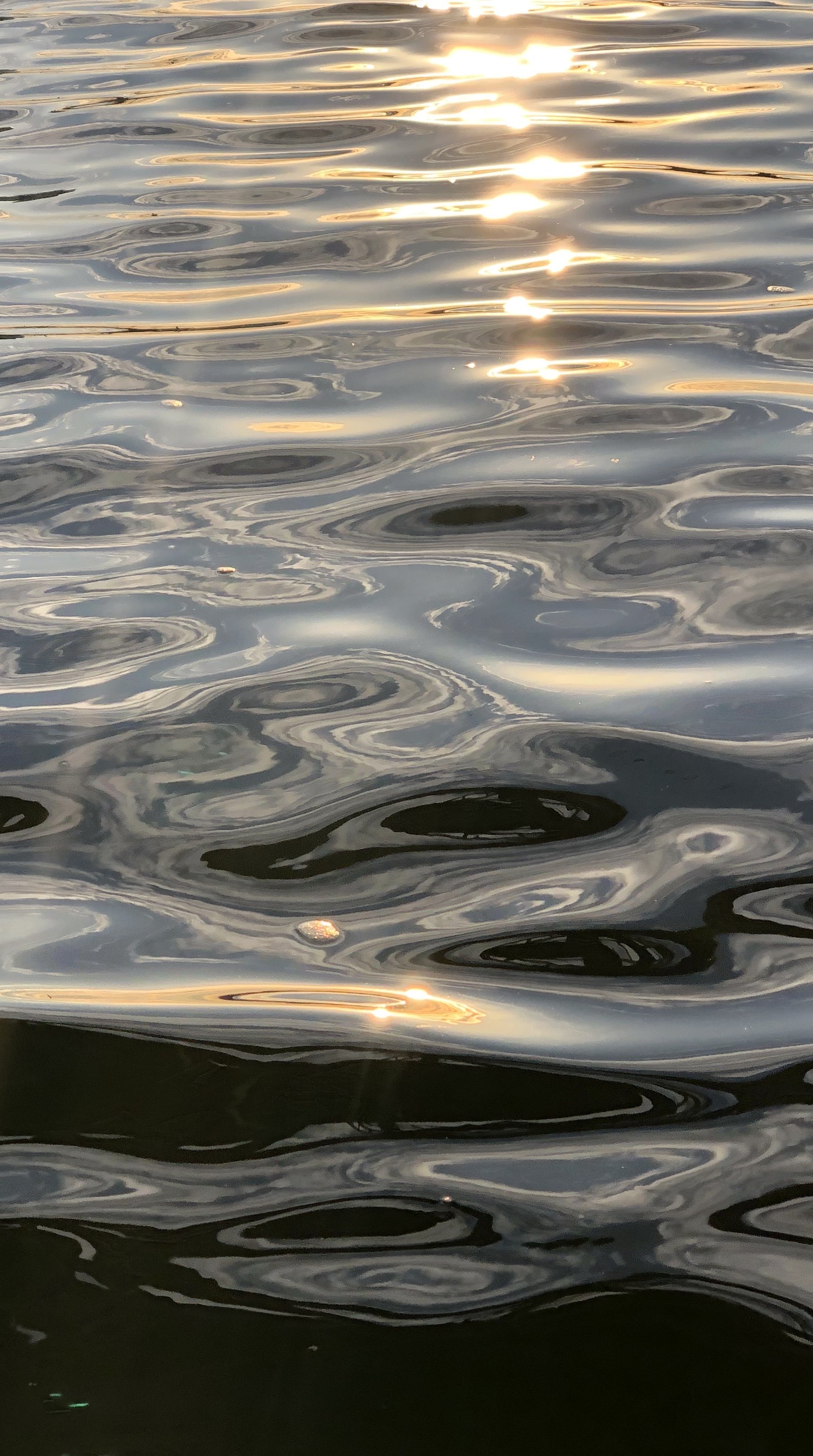 Sunrise Liquid Gold