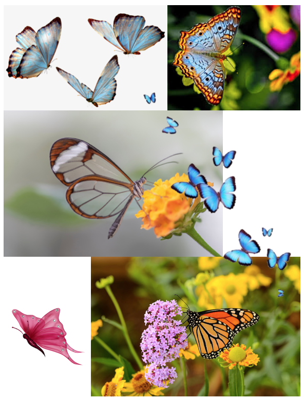 1 Magical Transformation.PNG