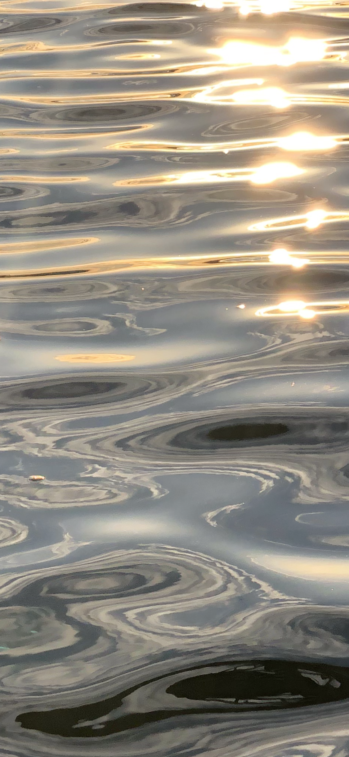 Dancing Ripples of Gold