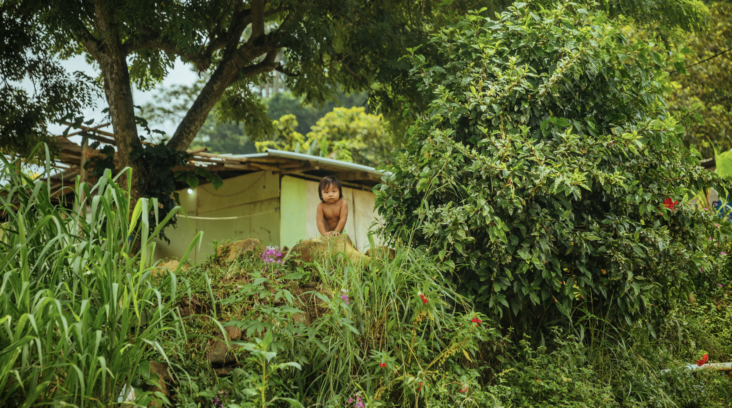 Screen Shot 2022-02-13 at 1.33.07 PM.png