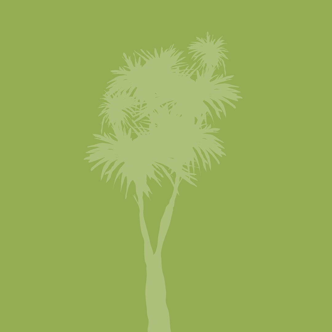 Cabbage Tree

#NZ #interpretation #design #conservation #illustrator #illustration #environment #environmental #graphicdesign #interpretationpanel