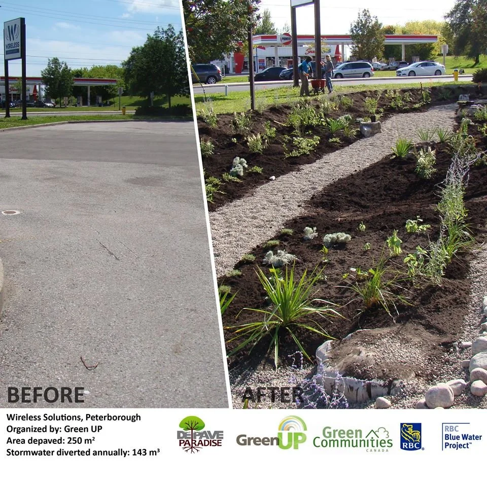 Reclaiming Pavement and Restoring Nature