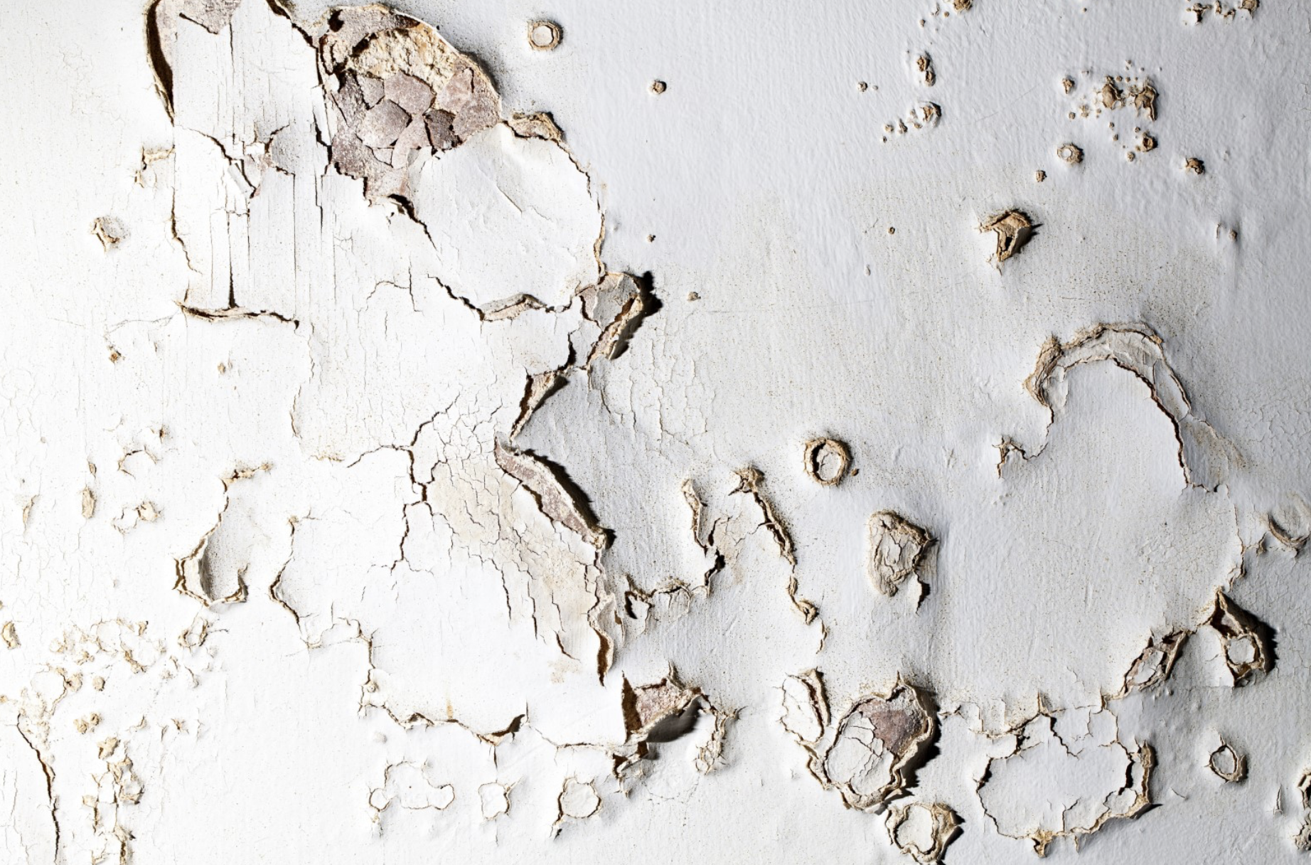 What’s Really Hiding Beneath Old Paint?&nbsp;
