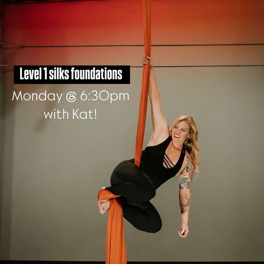 Level 1 Aerial Silks