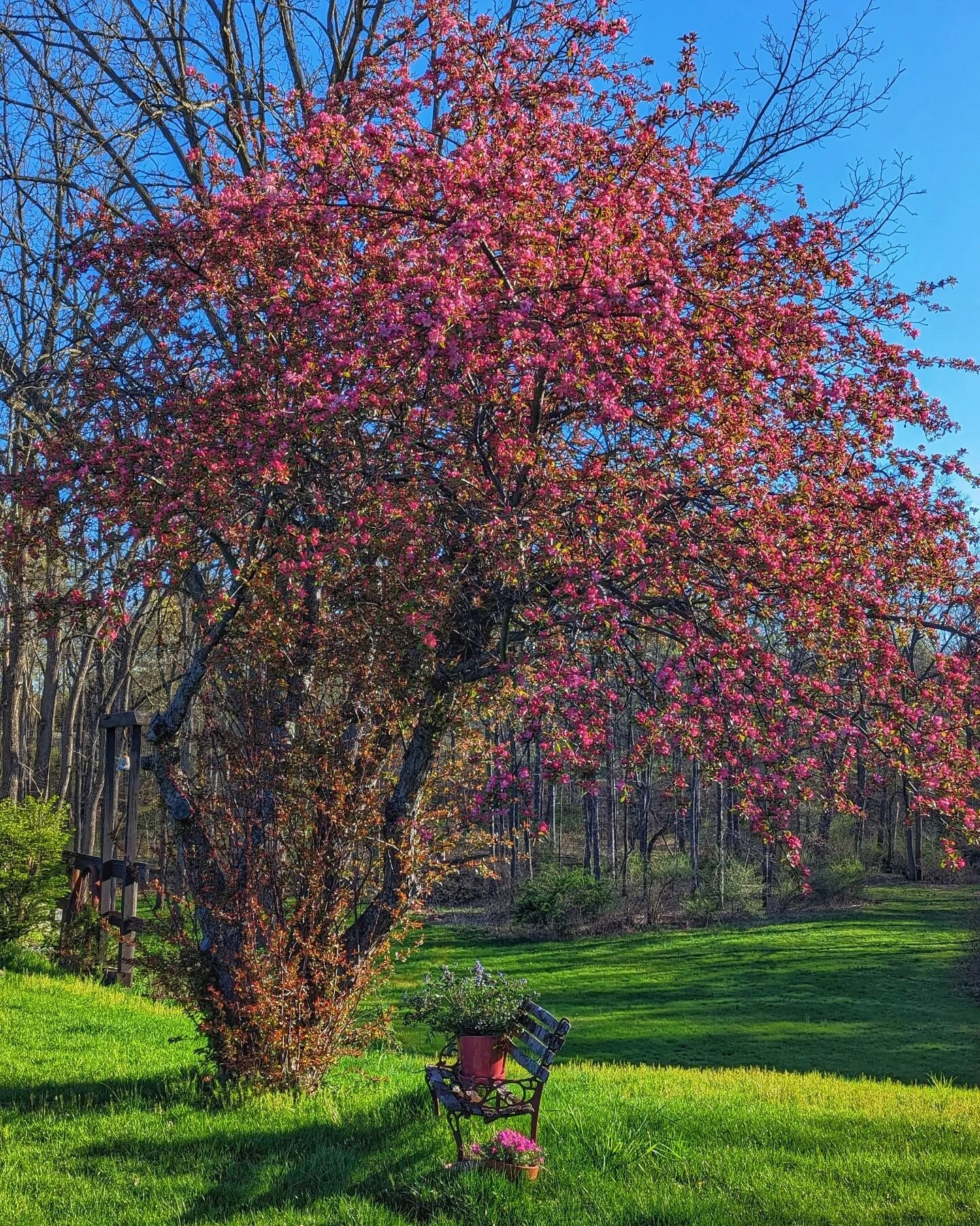 We love when Mother Nature decides to show off! 

It's glorious at the Farm right now... and we have availability this weekend! It's the final call for our off-season Friends &amp; Family discount-- DM us to book ✨