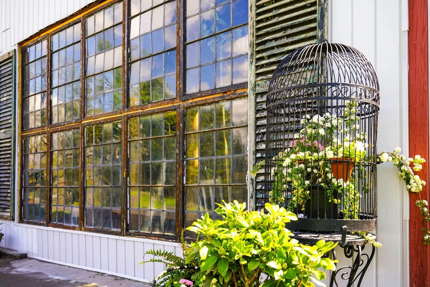 Looking at this whimsical moment makes us wonder: why don't more people fill a big birdcage with flowers? 🌸✨😉

Our window wall in the barn is a custom install-- these were reclaimed from a historic Hudson Valley mansion! Thank you @milneantiquesand