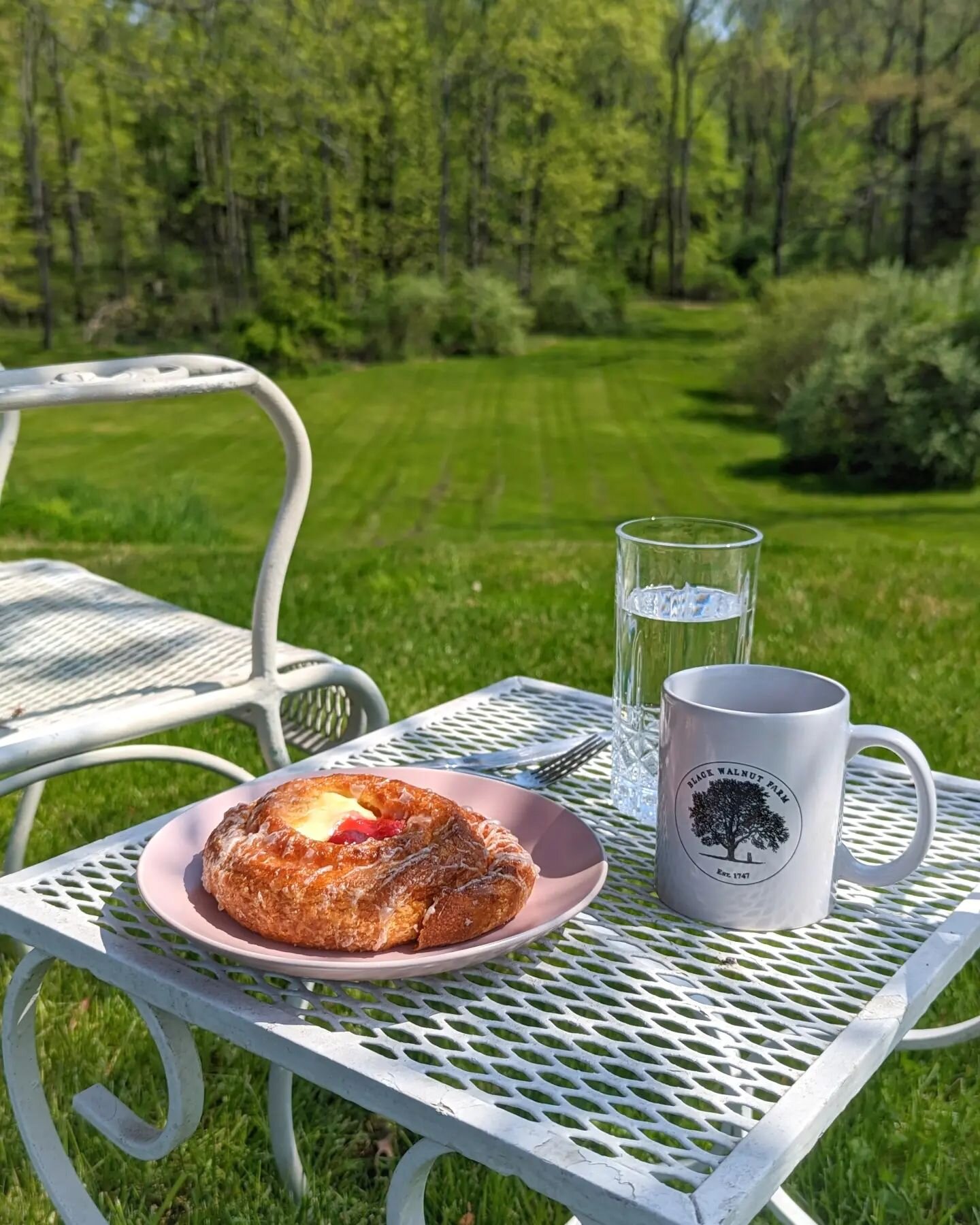 Perfect mornings at the farm ✨

@deisingsbakery in Kingston has the absolute most delectable Strawberry Cheese Danish in the world... There will be no further discussion at this time.

(We have availability this weekend, DM us to book &amp; this coul