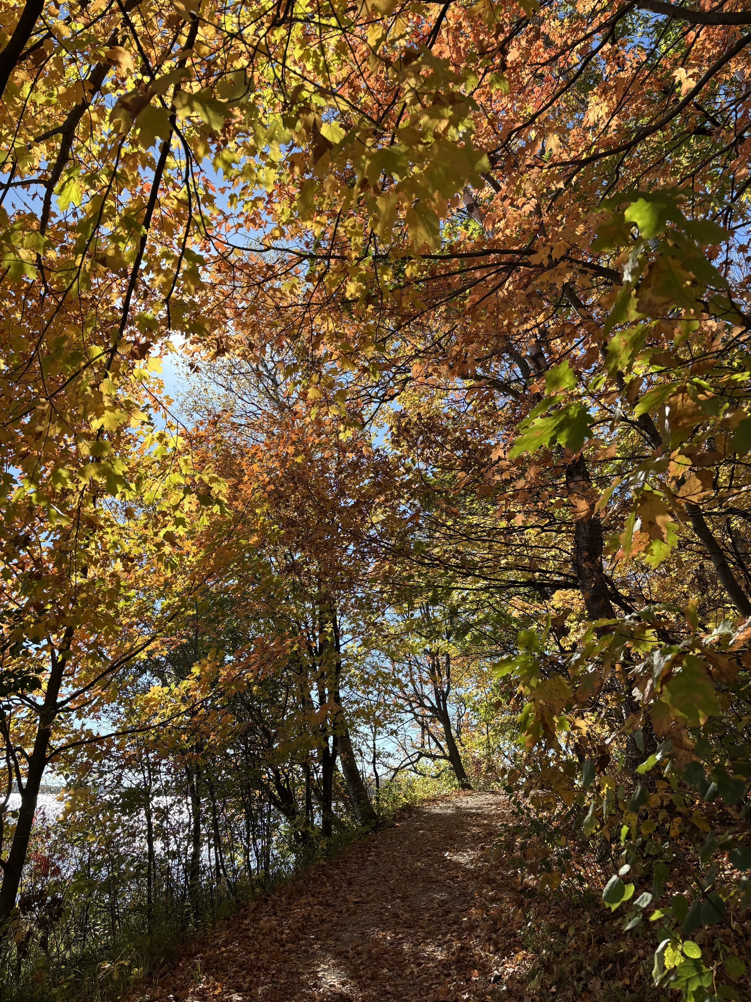 Fear, the Great Teacher