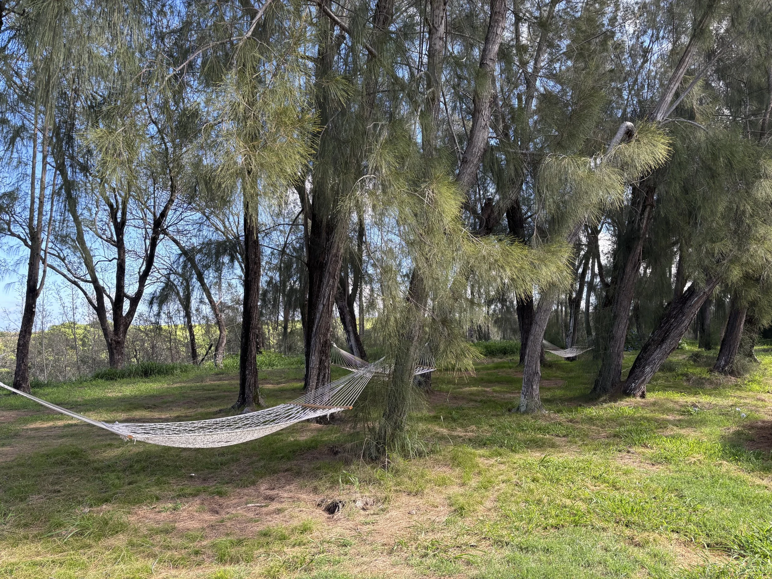 In the Quiet of the In Between