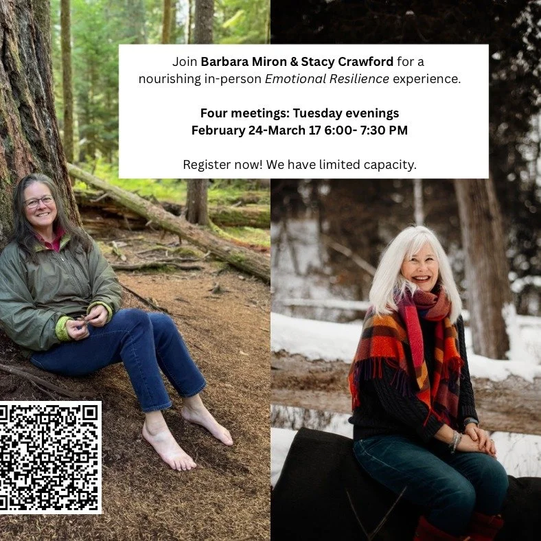 I am thrilled to host this in-person local event in Duluth, Minnesota, alongside my dear friend and practitioner, Barbara Miron.

Spaces are limited, and registration is now open. Use the QR code to learn more about this unique experience.

Registrat