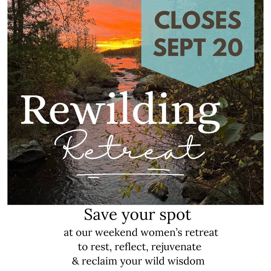 Fall is truly in the air. 🍂

We cannot wait to welcome the women who have said yes to themselves and to the Rewilding Retreat to be held October 23-25 at Camp Miller on Sturgeon Lake.

I can already hear the crunch of fall leaves beneath my feet and