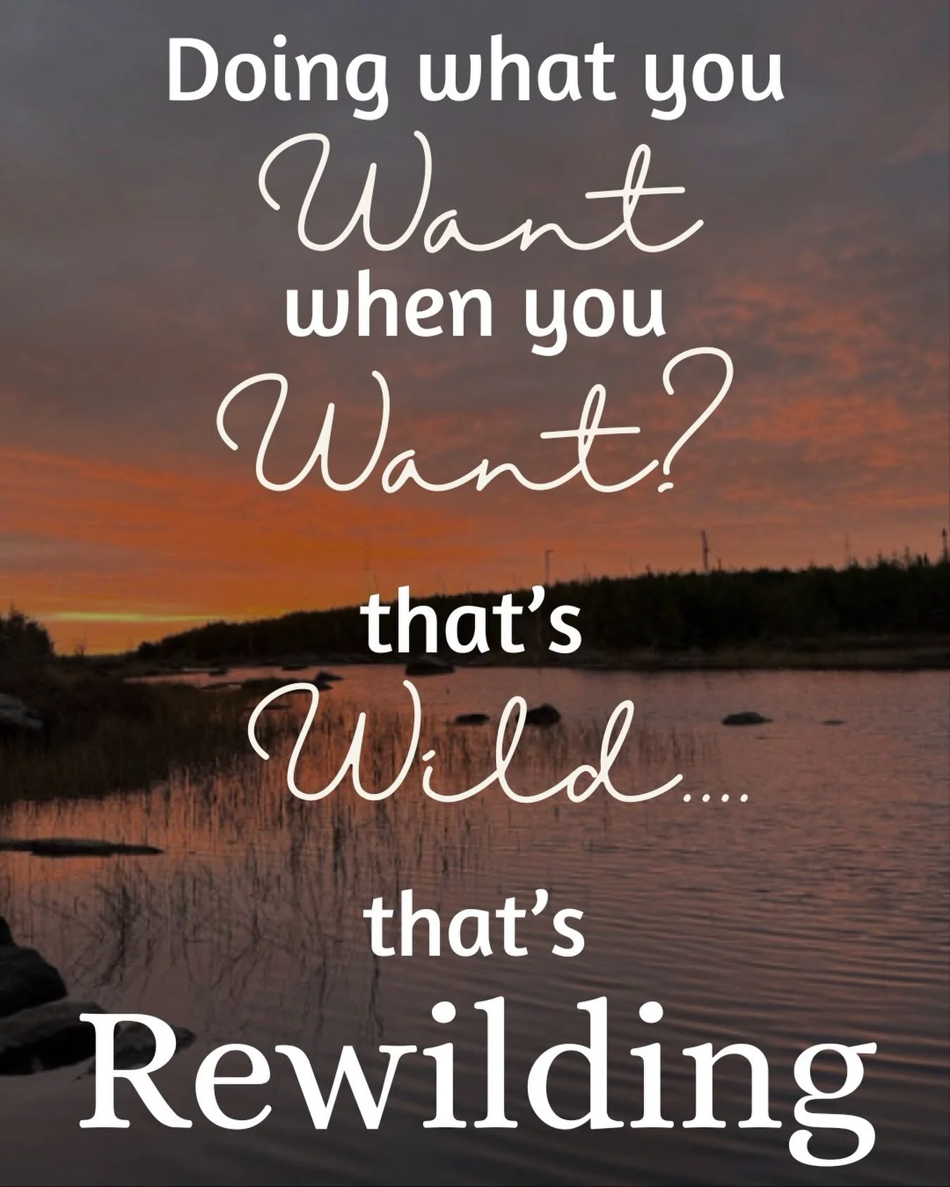 Last night, we gathered for our Rewilding Retreat mini retreat, offering a small taste of what awaits at our immersive weekend experience on October 23 to 25 at Camp Miller, nestled on the beautiful shores of Sturgeon Lake.

What filled my heart most