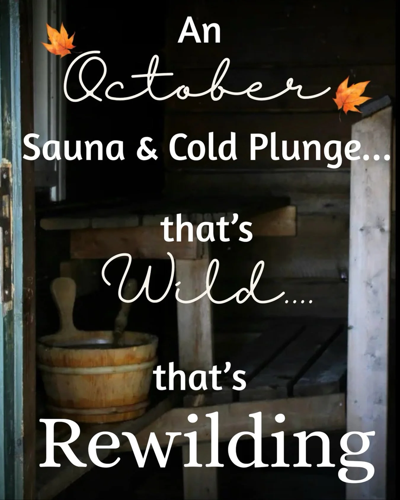 There is still time to reserve your space in our mini retreat, held online August 4 (next week) and our Rewilding Retreat held October 23-25 at Camp Miller on the shores of Sturgeon Lake. 

Are you ready to reserve a little slice of magic for yoursel