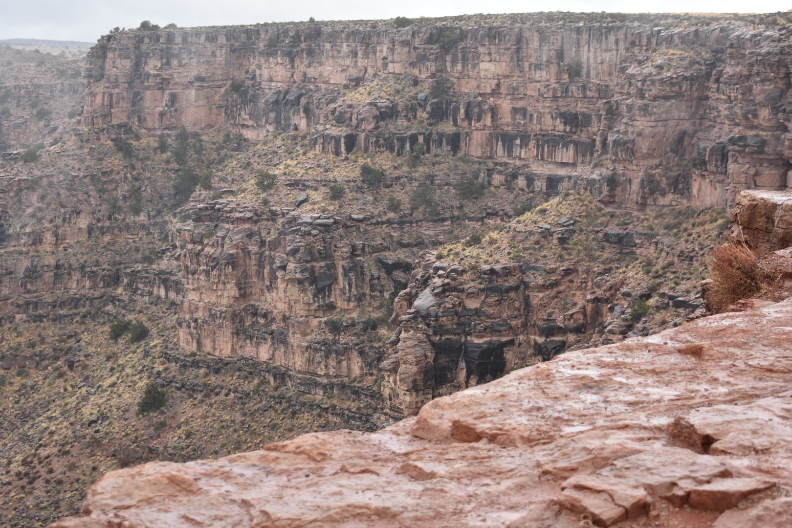 DSC_0982.JPG