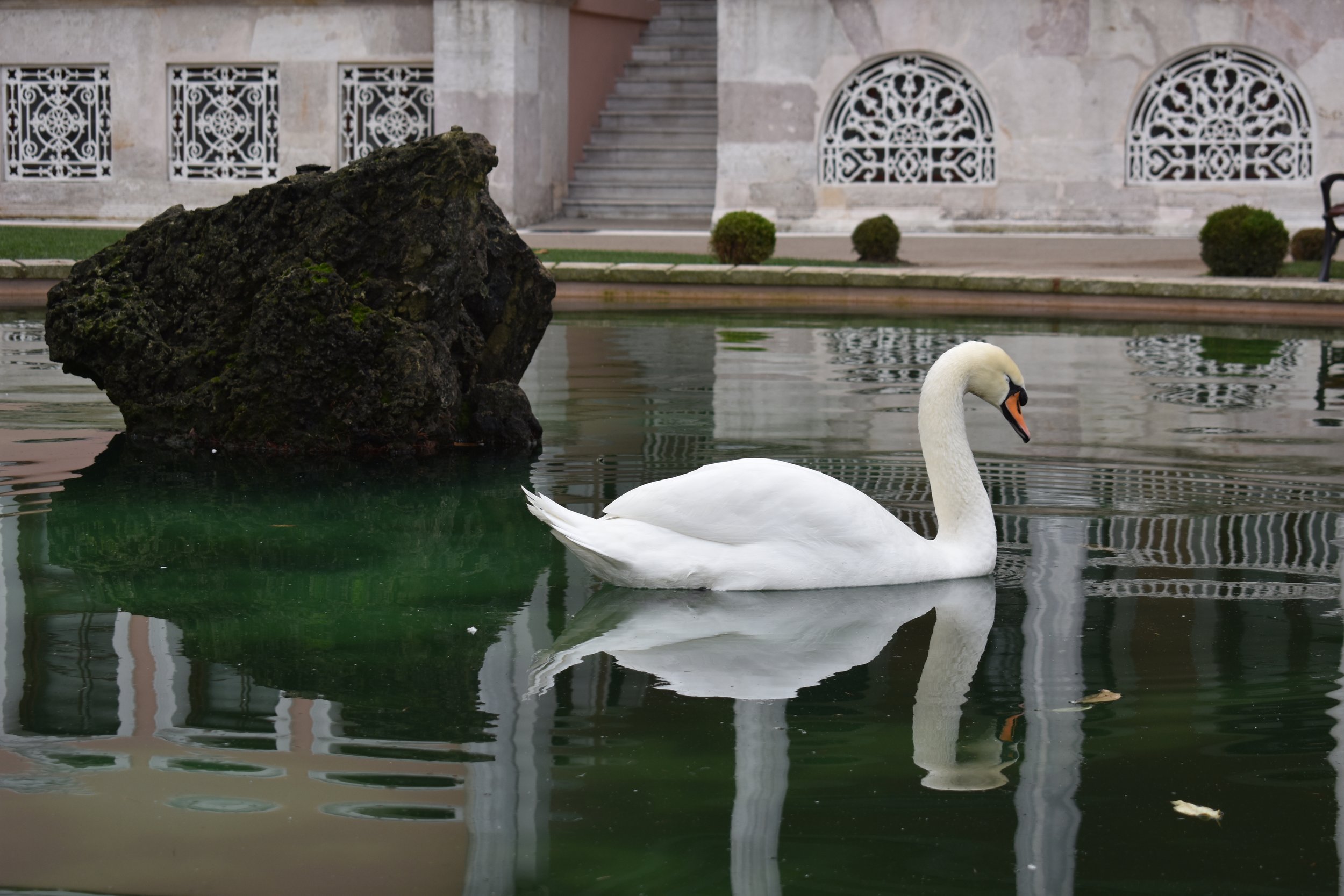 DSC_1087.JPG