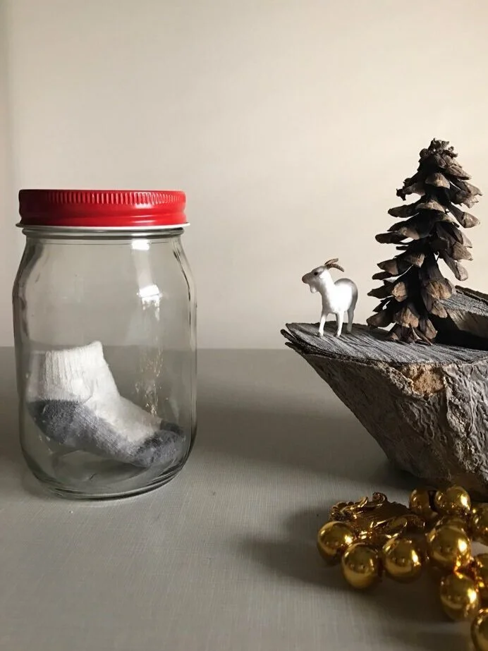 Pine cone and sock (2021)