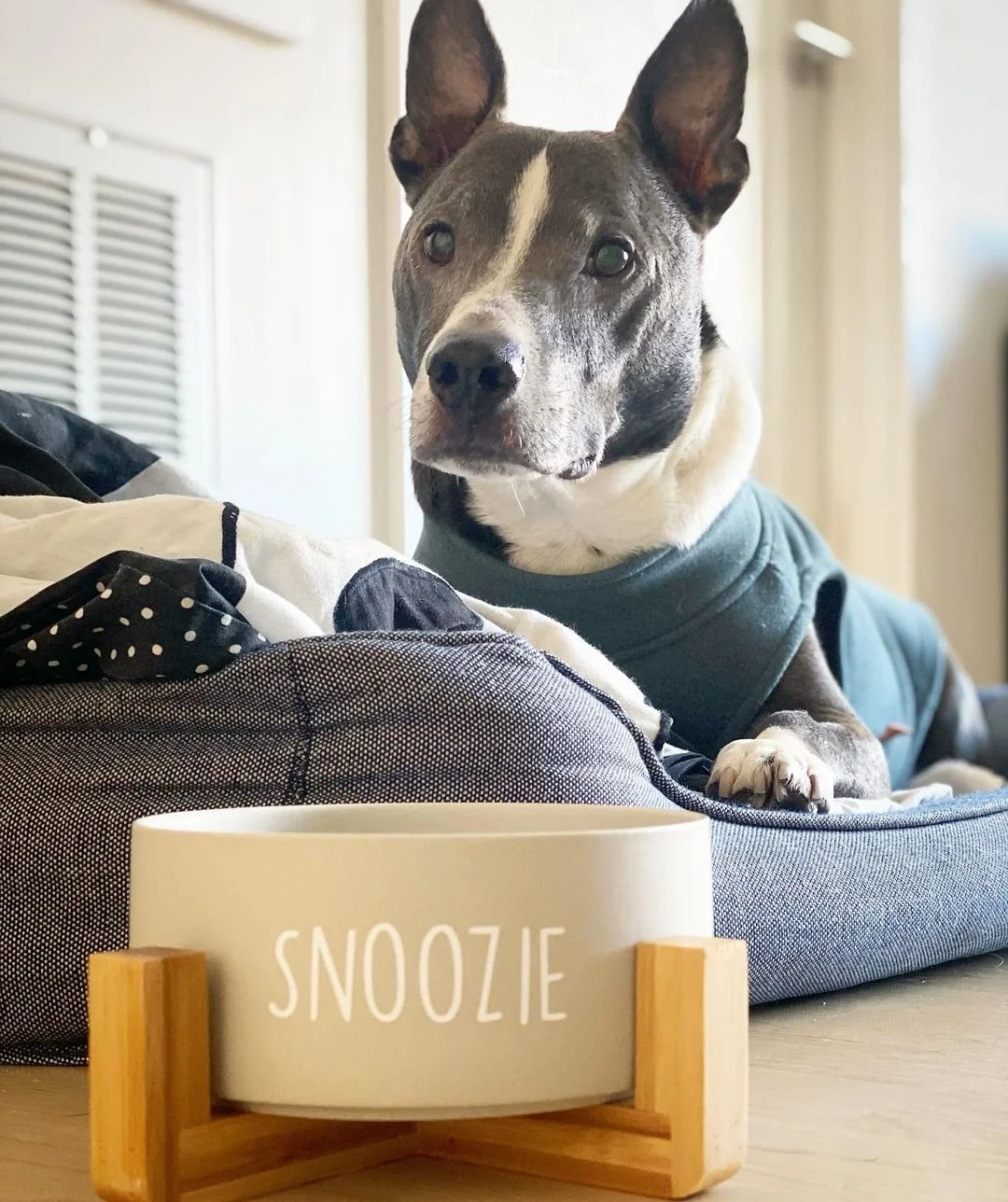 Rethinking “Diabetes”