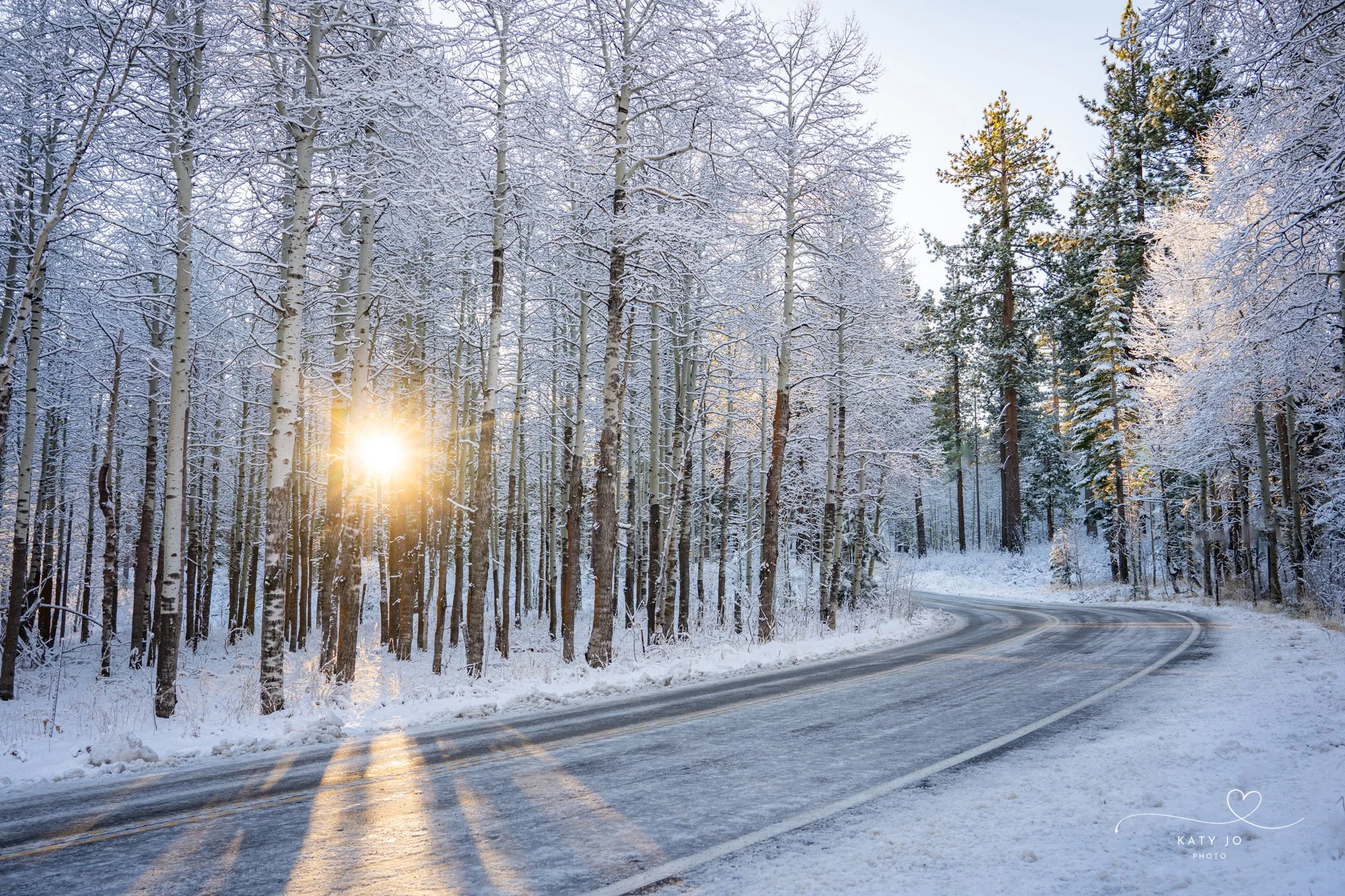 Snow-covered trees alongside a winding road with tire tracks, sunlight peeking through the branches, winter landscape