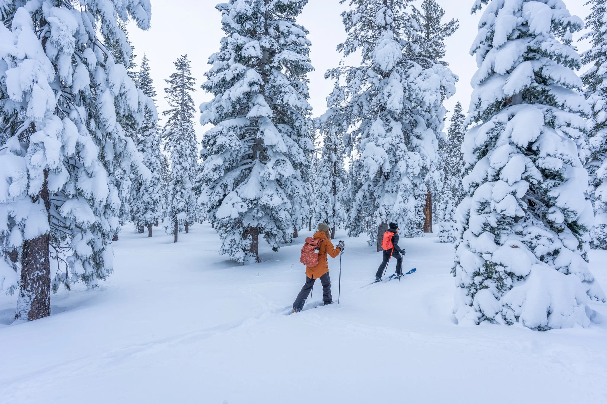 Two people cross-country skiing through a snow-covered forest with tall, snow-laden trees. The sky appears overcast.
