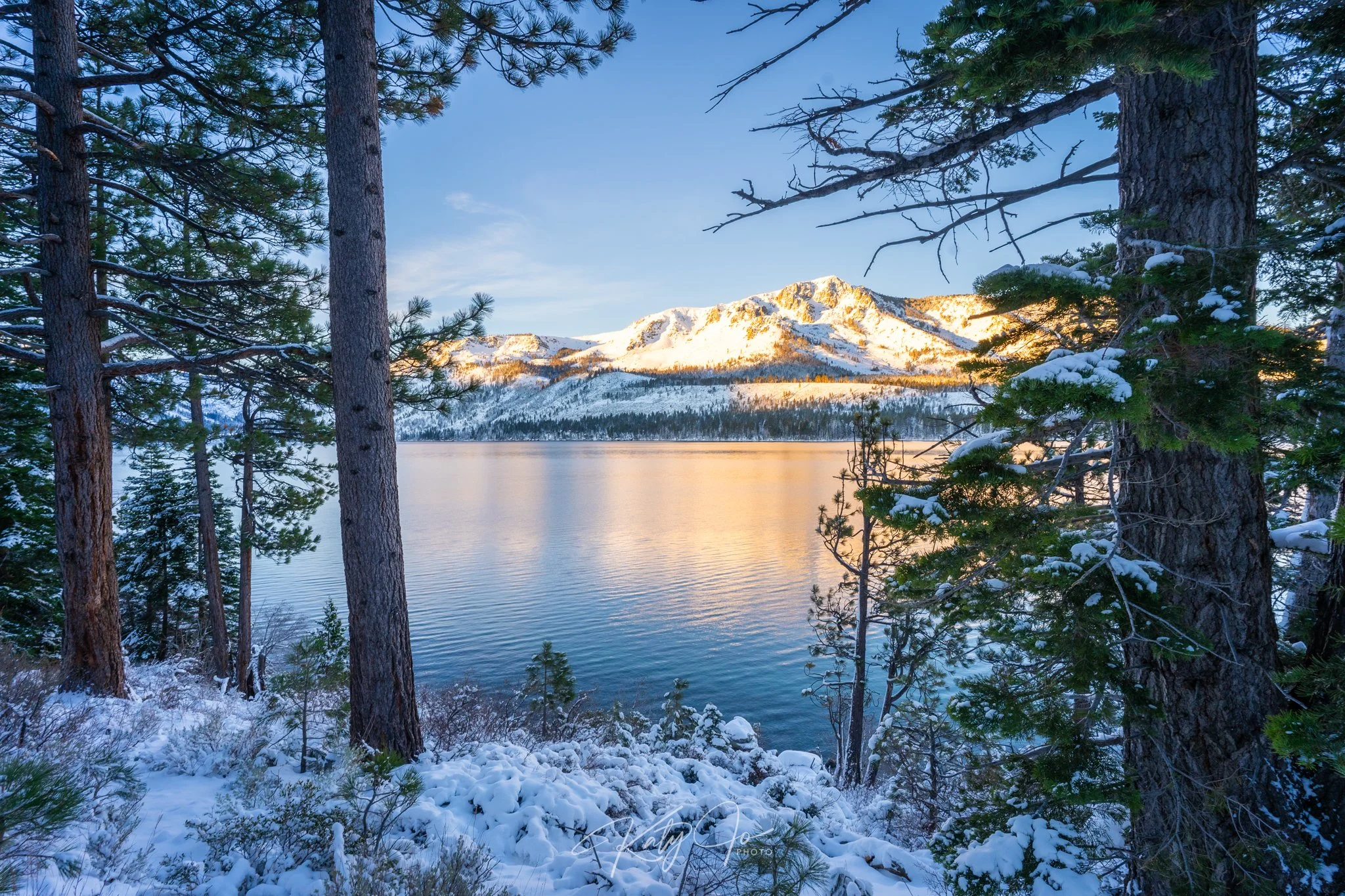 Snow-covered trees along a lake with mountains in the background, during sunset or sunrise.