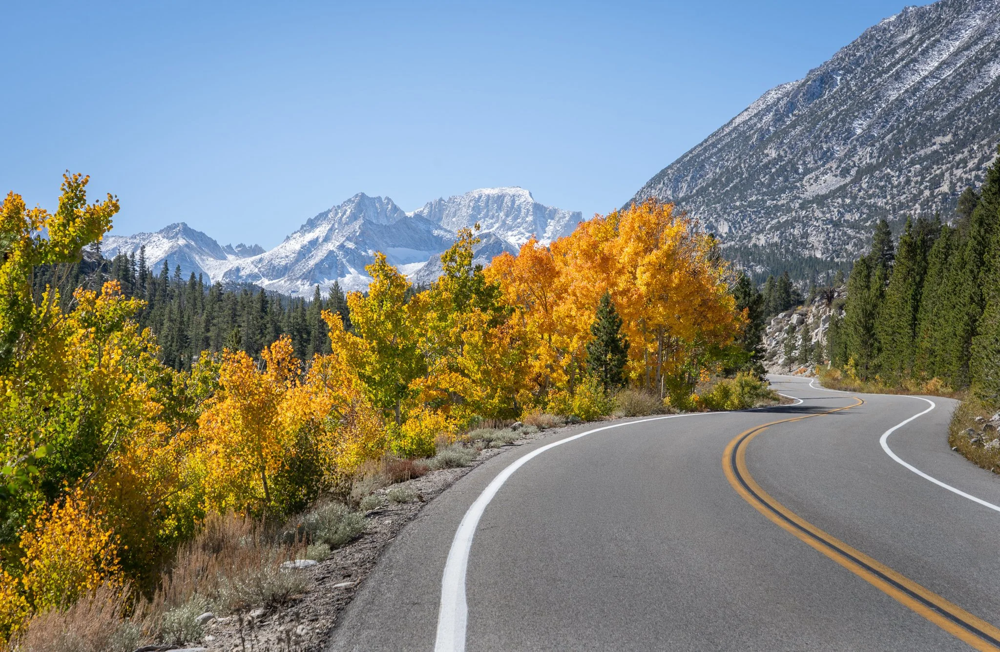 A winding mountain road with yellow and green foliage on the side, snow-capped mountains in the background, and a clear blue sky.